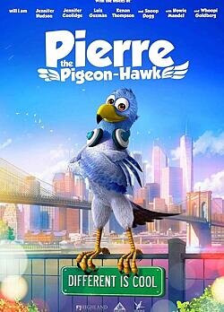 Pierre the Pigeon-Hawk